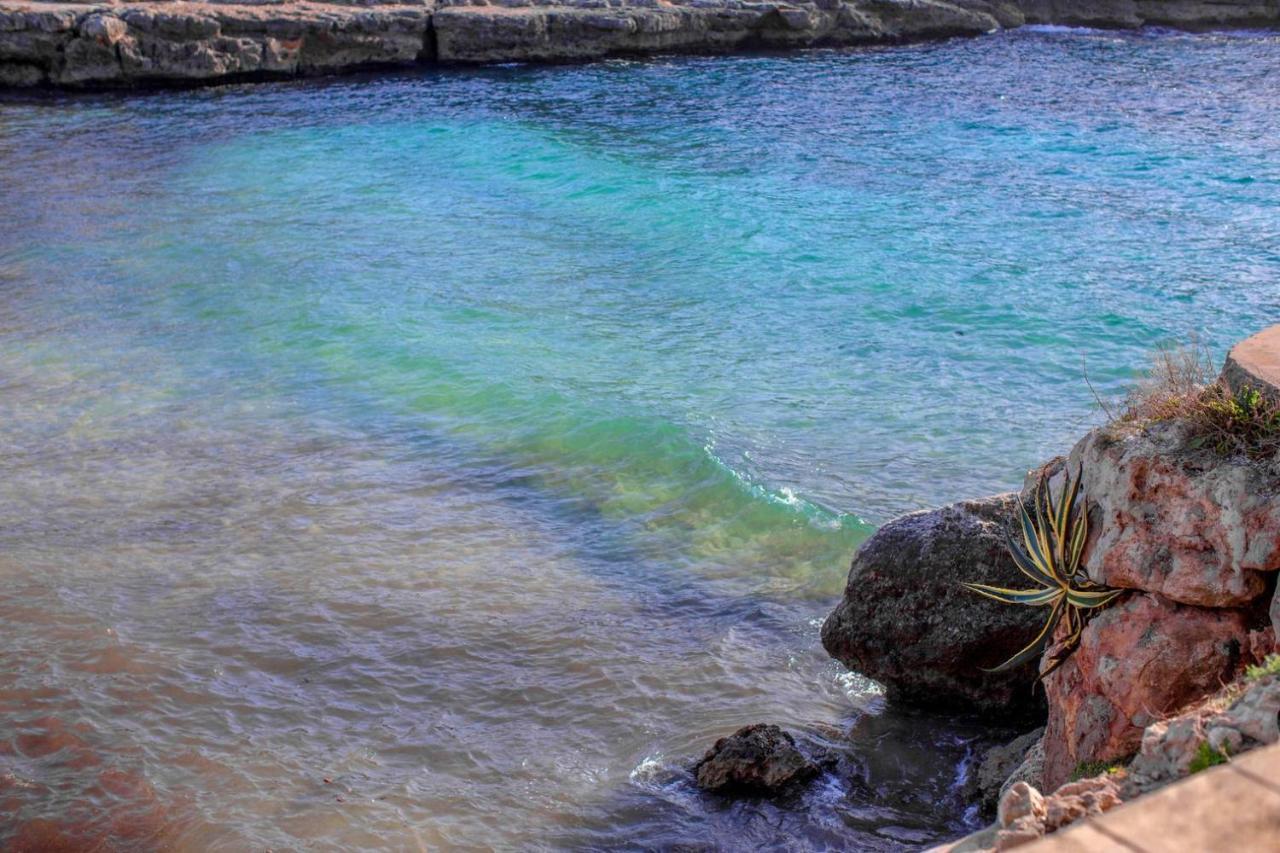 Els Arbocers 131-2 Daire Cala Blanca  Dış mekan fotoğraf